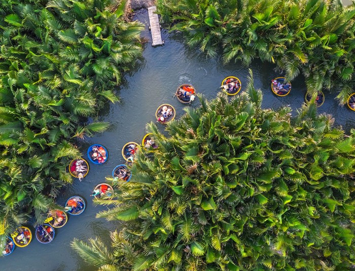 rừng dừa bảy mẫu